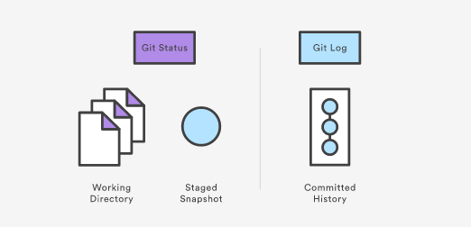 git status & git log